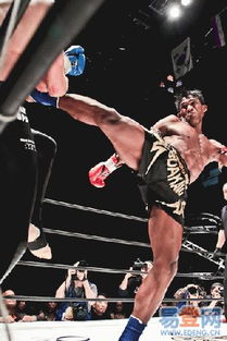 關于搏擊的常識(關于搏擊的常識)