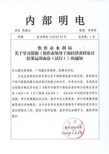 局長的經(jīng)濟審計報告范文(教育局原局長任期經(jīng)濟責任的審計報告范文)