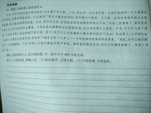 材料型作文開(kāi)頭