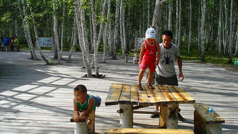 小樹林變了作文開頭