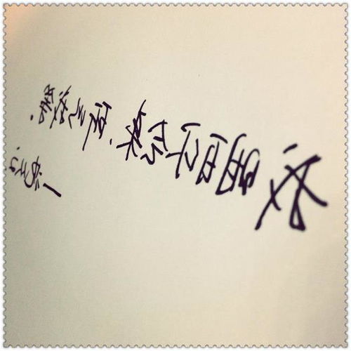 我的一天作文600字開頭初一