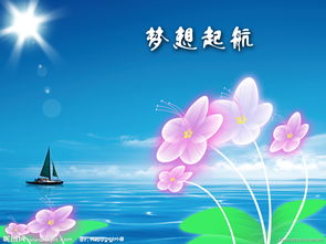 小學(xué)生夢想英語演講稿(夢想英語演講稿)