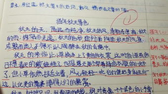 瀑布作文描寫式開頭