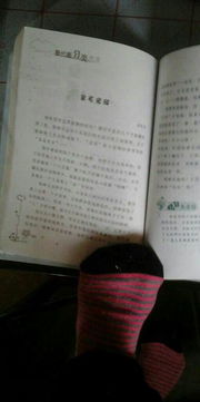 關于動物的作文600字高中作文開頭