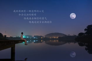 夜空中最亮的星開(kāi)頭作文