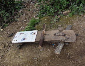 一份愛心作文開頭