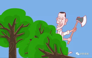 一次性筷子作文開(kāi)頭