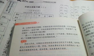 關(guān)于描寫(xiě)家用電器作文(關(guān)于描寫(xiě)家用電器的說(shuō)明文)