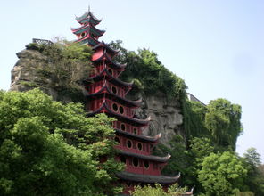 忠縣,重慶市,作文,開(kāi)頭