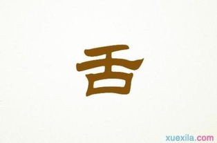五級下作文開頭與結(jié)尾怎么寫