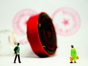 行政審批事項自查報告(行政審批事項自查報告)