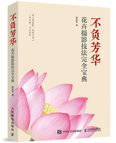 不負(fù)芳華作文開頭