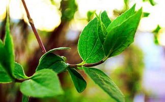 工科實(shí)習(xí)報(bào)告怎么寫(xiě)工科實(shí)習(xí)報(bào)告范文大全(工科實(shí)習(xí)報(bào)告)