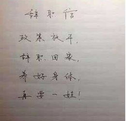 中層領(lǐng)導(dǎo)辭職報告(保險中層領(lǐng)導(dǎo)辭職報告)