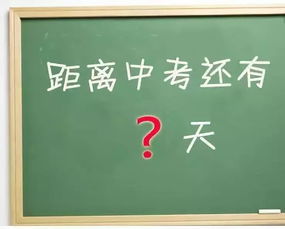 在迎接中考的日子里作文開頭