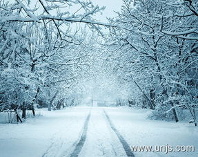 作文冬天的風景開頭