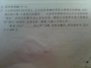 優(yōu)美大自然聲音的作文開頭