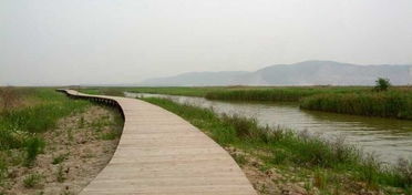 玉環(huán)觀光園作文的開頭