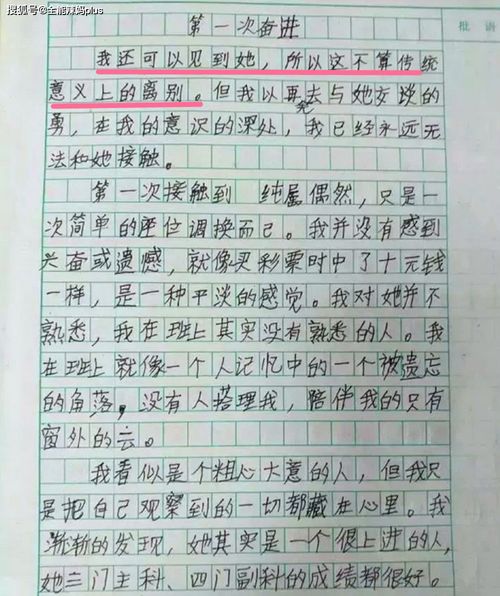 小學(xué)生幸福是奮斗的作文600字作文開頭