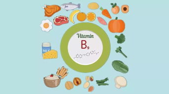 關于葉酸的小常識(備孕懷孕補充葉酸常識)