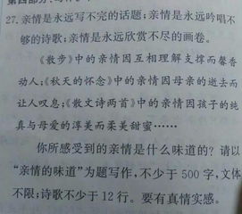 以詩(shī)歌形式開(kāi)頭關(guān)于采訪(fǎng)的作文