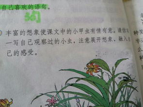 關(guān)于小蟲子的作文開頭