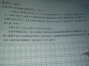 我學會了________作文開頭,我學會了騎自行車作文開頭,我學會了包餃子作文開頭