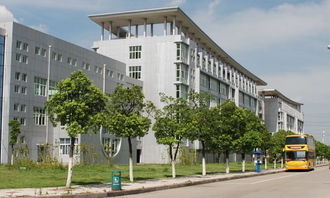 在校園有趣的事作文600字作文開頭