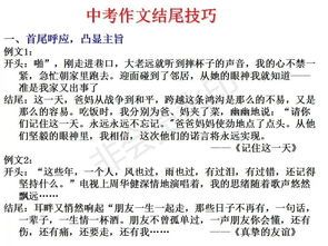 一次活動(dòng)作文的開(kāi)頭和結(jié)尾怎么寫