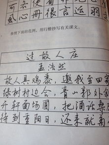 書法作文開頭結尾450字