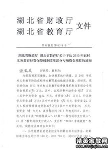 專項資金自查報告(最新的專項資金自查報告)