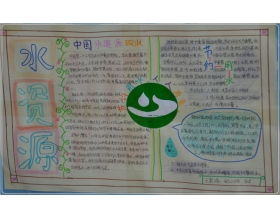 與保護(hù)森林的作文開頭