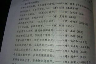 作文,古詩(shī),開頭,含有