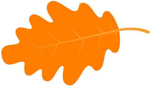 花為我開作文開頭結(jié)尾