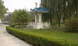 學校難忘的瞬間作文600字作文開頭