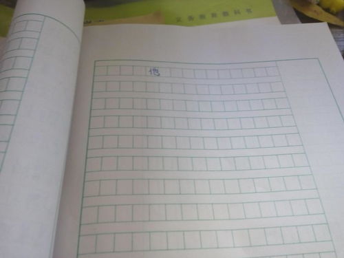 我真他600字作文開頭