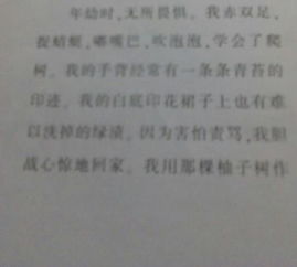 親情是首歌作文開(kāi)頭