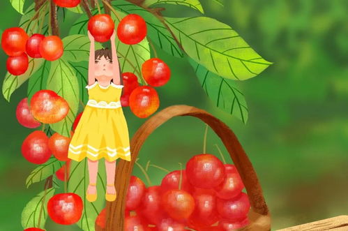 關(guān)于想象作文的開頭和結(jié)尾