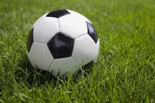 足球賽失敗的感受作文開頭