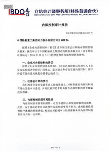 內審審計報告范文(簡易內審審計報告范文)