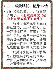 中學滿分開頭感動的作文