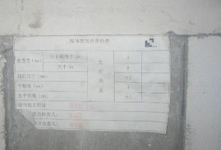 華東藝術(shù)考察報(bào)告(赴華東五市考察報(bào)告)