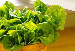 綠色食品市場(chǎng)調(diào)查報(bào)告(綠色食品)