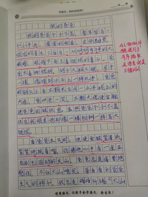 做糖葫蘆的作文開頭