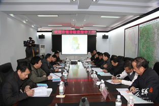 黨建問題整改報告(黨建問題整改方案)