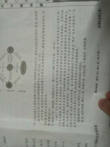 我與讀書(shū)作文600字作文開(kāi)頭