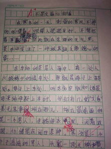 作文,盼望,開(kāi)頭,學(xué)校