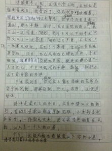 簡(jiǎn)單而美好的陪伴作文開頭結(jié)尾