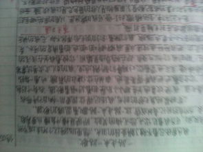 寫人的作文開頭初二