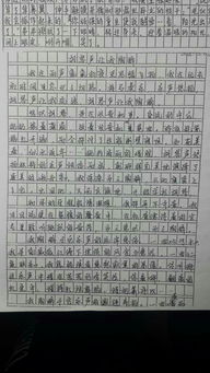 做自己的欣賞者作文開頭